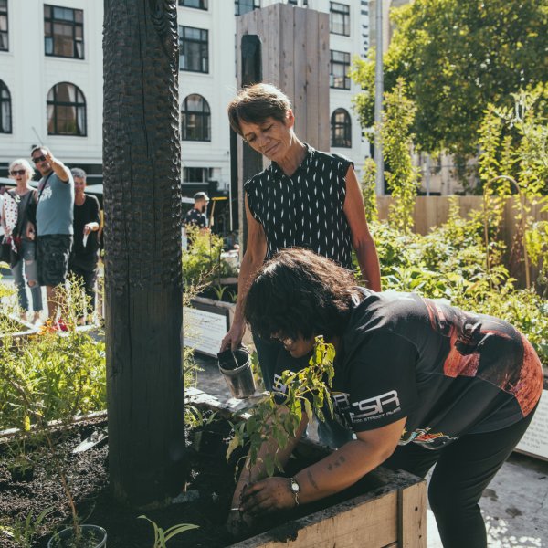 People gardening in the community Rongoa garden as part of the Griffiths Garden activation on Wellesley Street in Auckland's city centre. Image: Kate Van Der Drift Photography