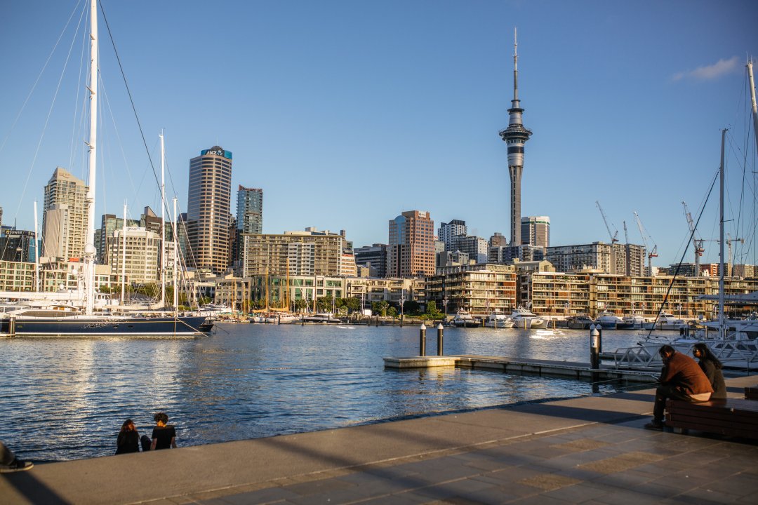 Auckland skyline viewed from St Mary's Bay. Image: Wayne BoardmanAuckland's city centre skyline viewed from St Mary's Bay. Image: Wayne Boardman