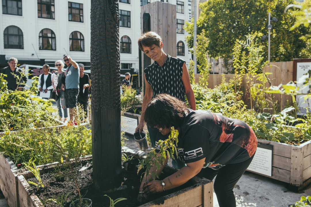 People gardening in the community Rongoa garden as part of the Griffiths Garden activation on Wellesley Street in Auckland's city centre. Image: Kate Van Der Drift Photography