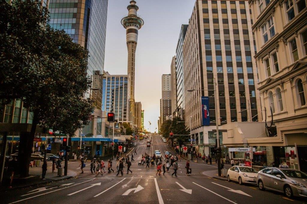 Auckland's city centre skyline, looking west with views of the Sky Tower, ANZ Centre, Victoria Parks, the harbour and bridge. Image: Wayne Boardroom