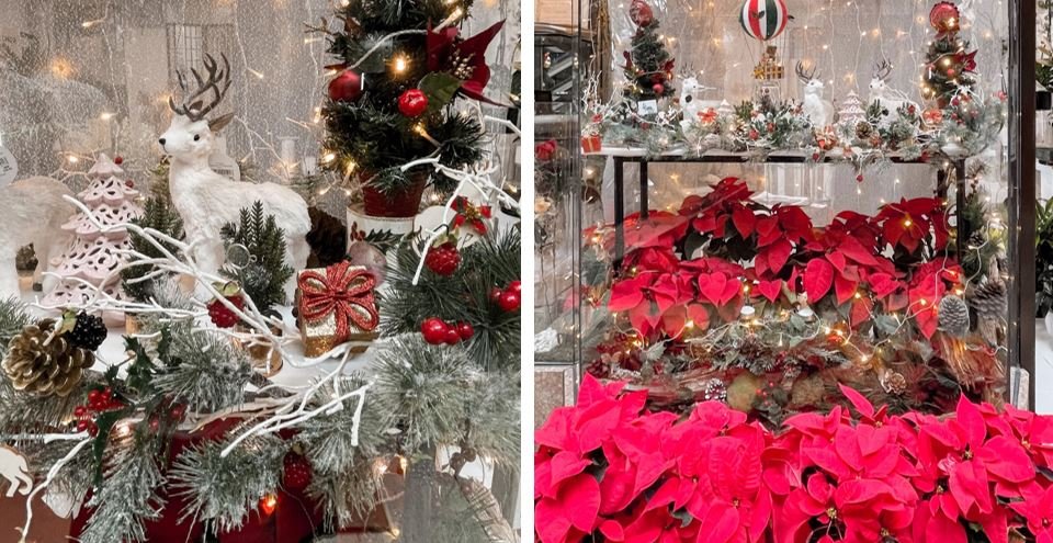 Congratulations to our Christmas Windows Competition Winners 2022